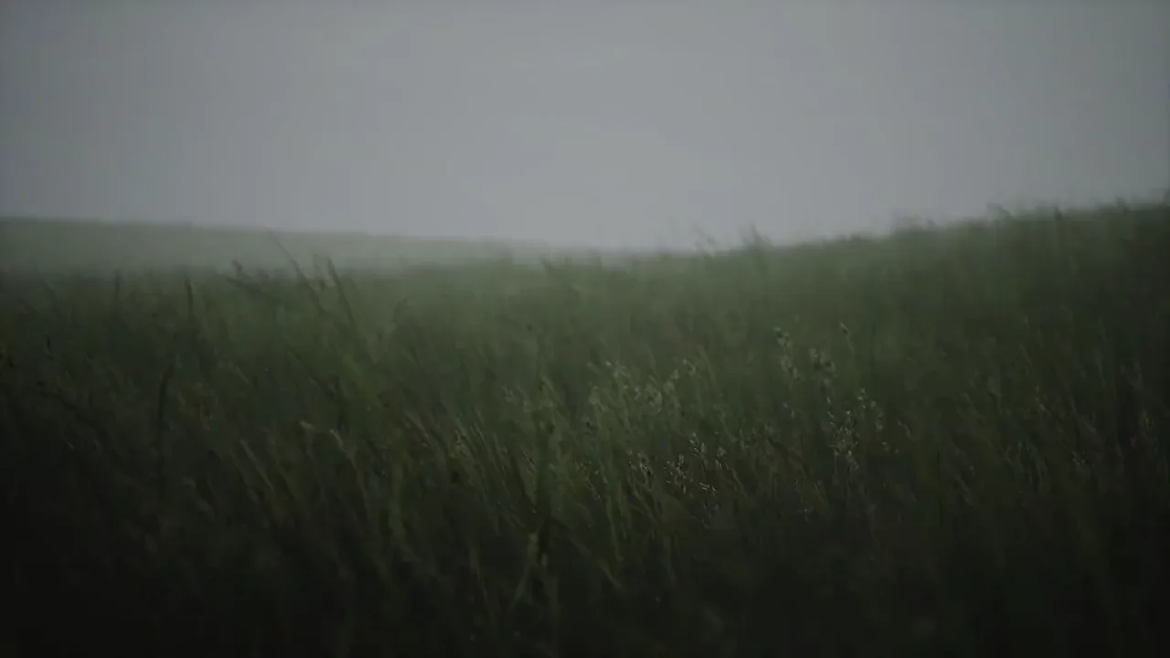 Field Grass: Menu backgrounds — a Dota 2 mod