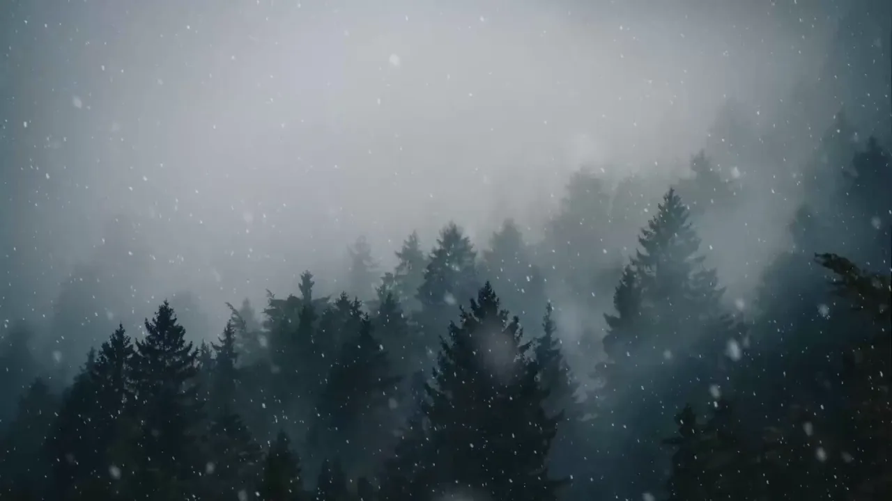 Snowfall In Forest: Menu backgrounds — a Dota 2 mod