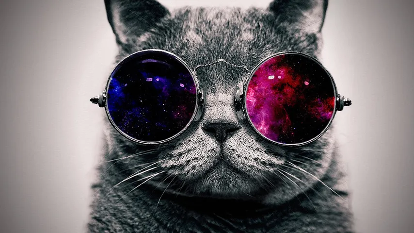 Stylish Cat: Menu backgrounds