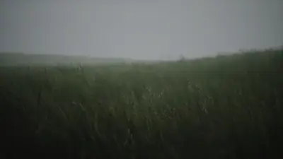 Field Grass: Menu backgrounds