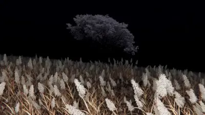 Lone Tree Meadow: Menu backgrounds