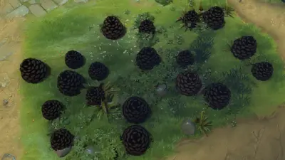 Pine Cone Trees: Trees