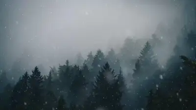 Snowfall In Forest: Menu backgrounds